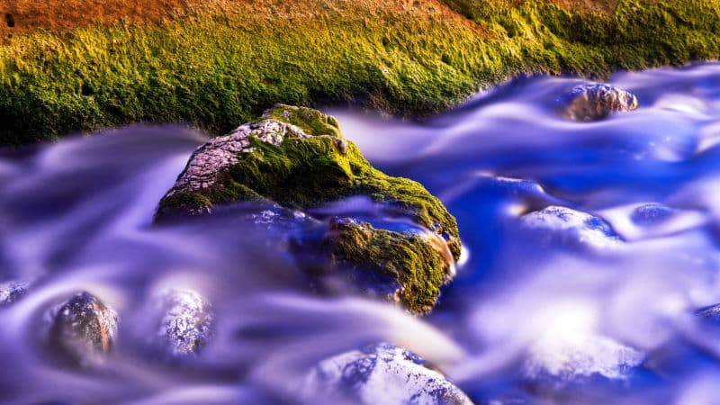 Green Moss Water Stream Wallpaper