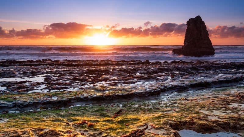 Davenport California Wallpaper
