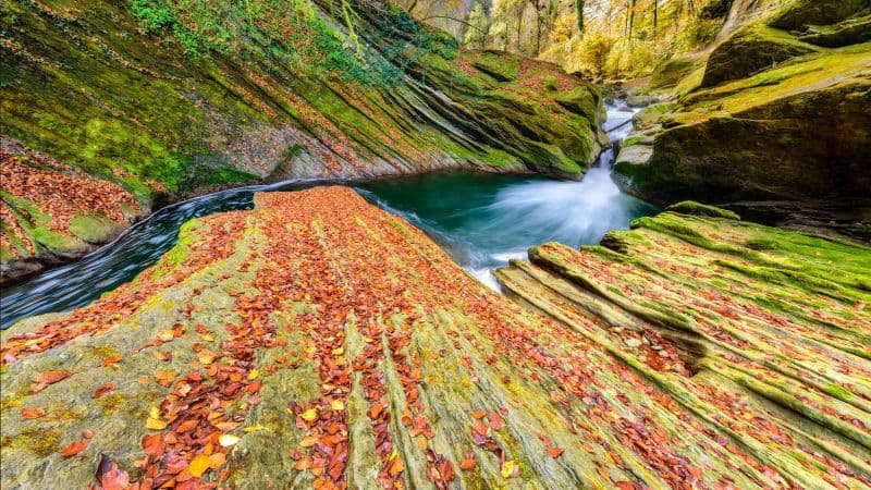 River Autumn Wallpaper