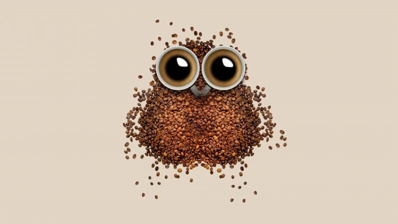 Coffee beans Owl Wallpaper
