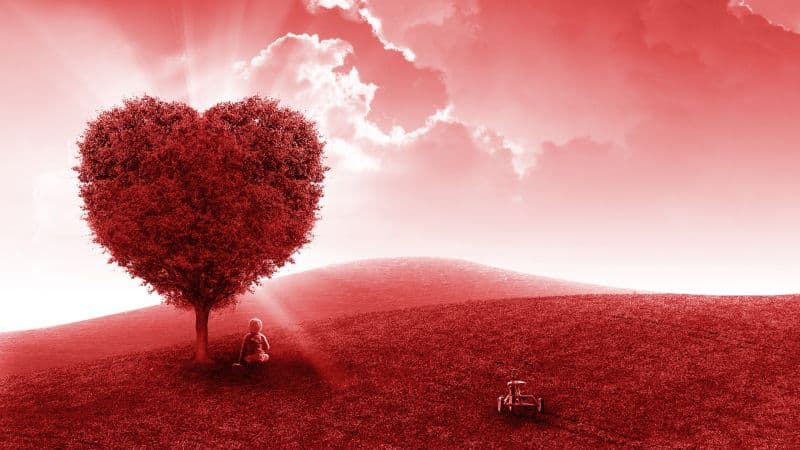 Landscape Heart tree Wallpaper