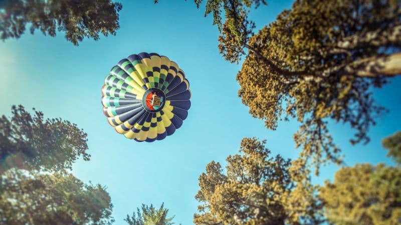 Hot air balloon Sequoia National Park Wallpaper
