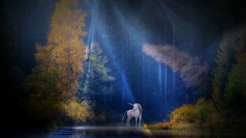 Unicorn Fairy tale Wallpaper