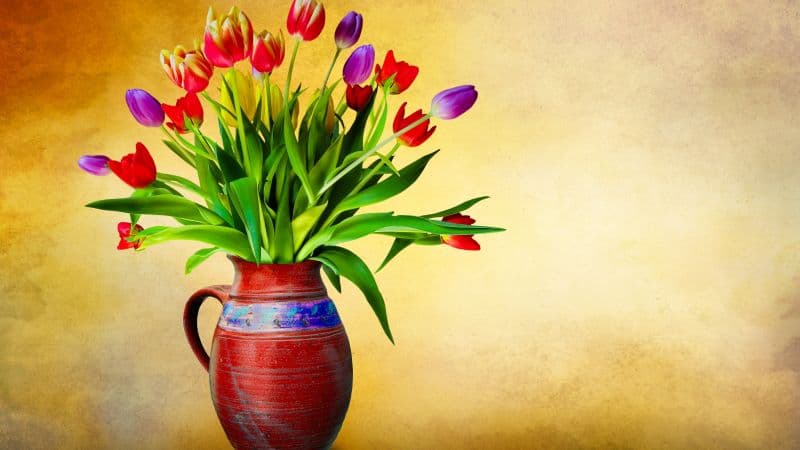Flower vase Tulip flowers Wallpaper