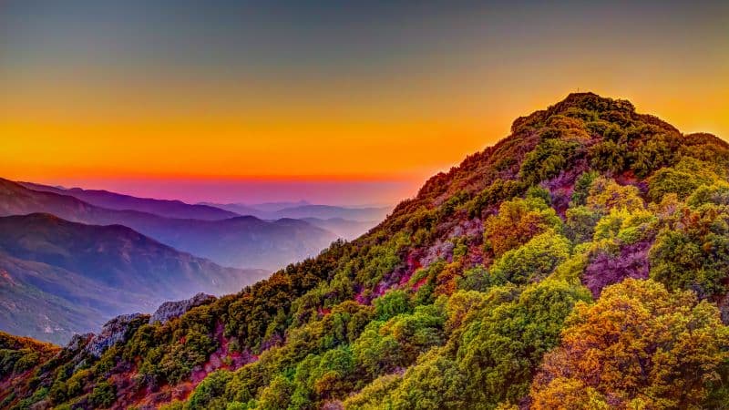 Sequoia National Park California Wallpaper