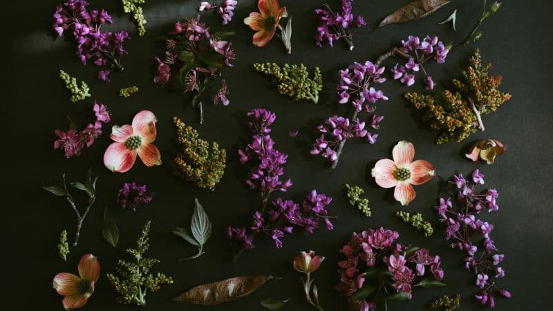 Purple Flowers Dark background Wallpaper