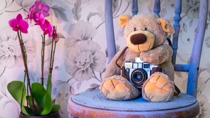 Teddy bear Vintage Camera Wallpaper