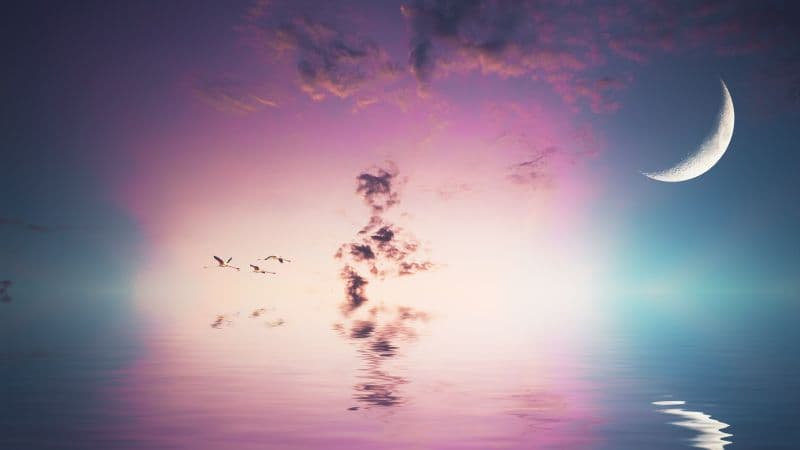 Crescent Moon Flying birds Wallpaper