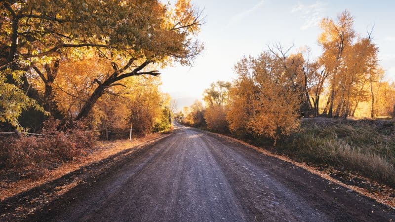 Dirt road Autumn trees Wallpaper