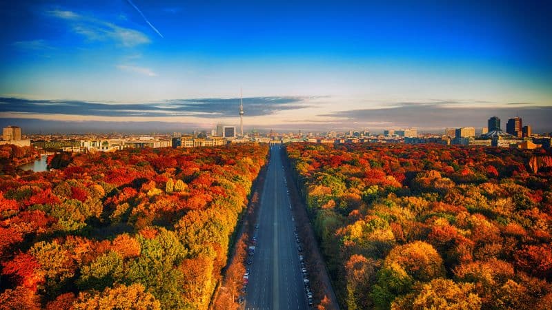 Autumn trees Berlin City Skyline Wallpaper