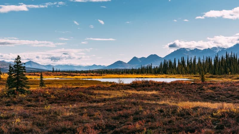 Autumn season Landscape Wallpaper