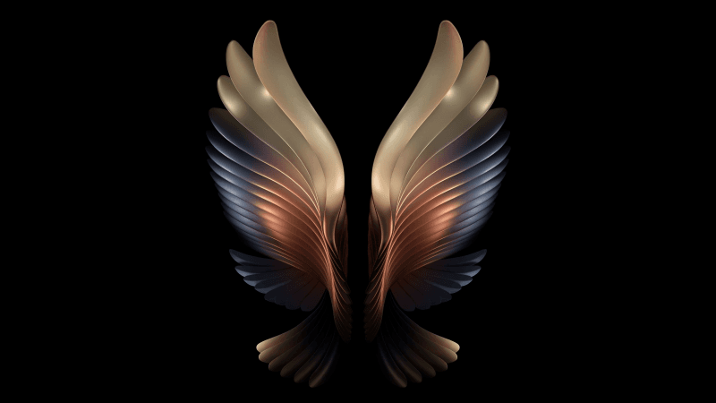 Samsung Galaxy W21 Samsung Galaxy Fold Wallpaper