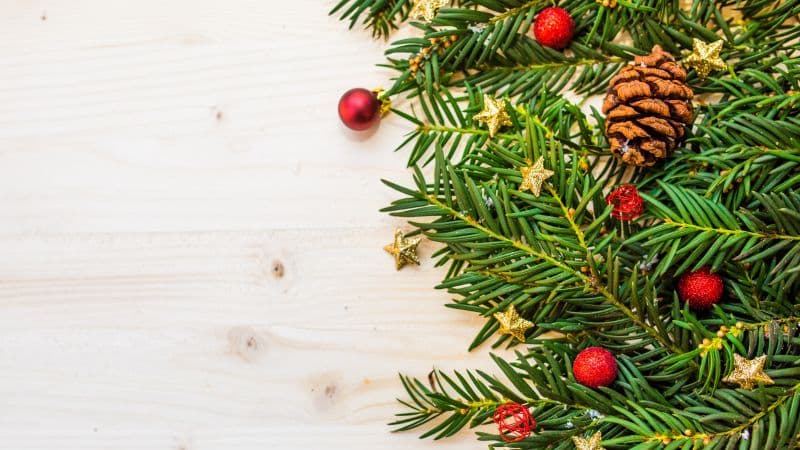 Christmas decoration Pine branches Wallpaper