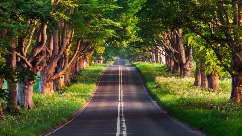 Blandford Road Empty Road Wallpaper