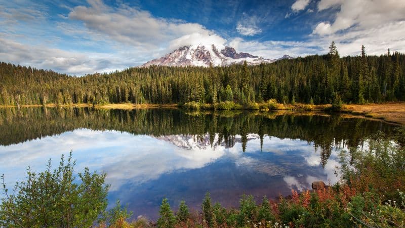 Mirror Lake Green Trees Wallpaper