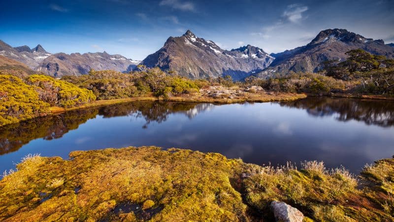 Key Summit New Zealand Wallpaper