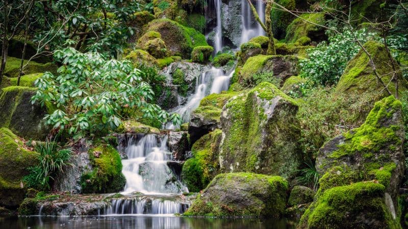 Portland Japanese Gardens Waterfalls Wallpaper