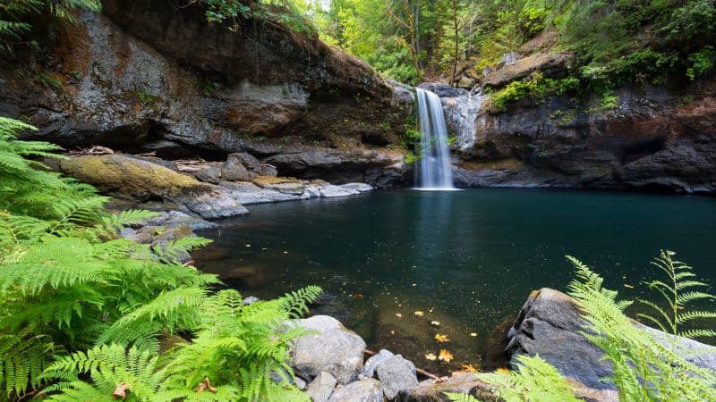 Coquille River Falls Oregon Wallpaper