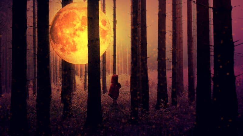 Full moon Kid Wallpaper