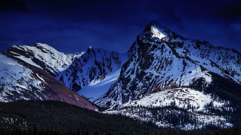 Glacier mountains Forest Wallpaper