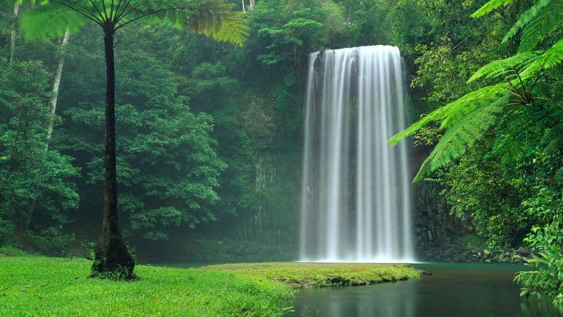 Millaa Millaa Falls Australia Wallpaper