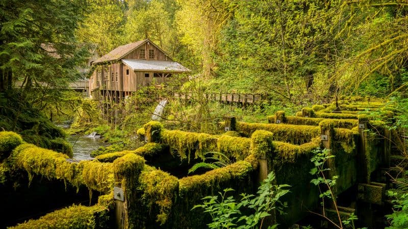 Cedar Creek Grist Mill Woodland Wallpaper