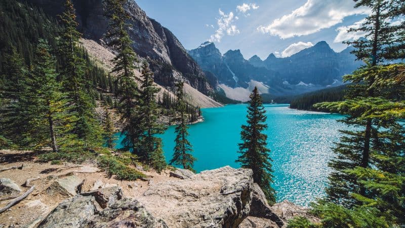Moraine Lake Summer Wallpaper