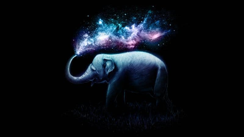 Elephant Colorful Wallpaper