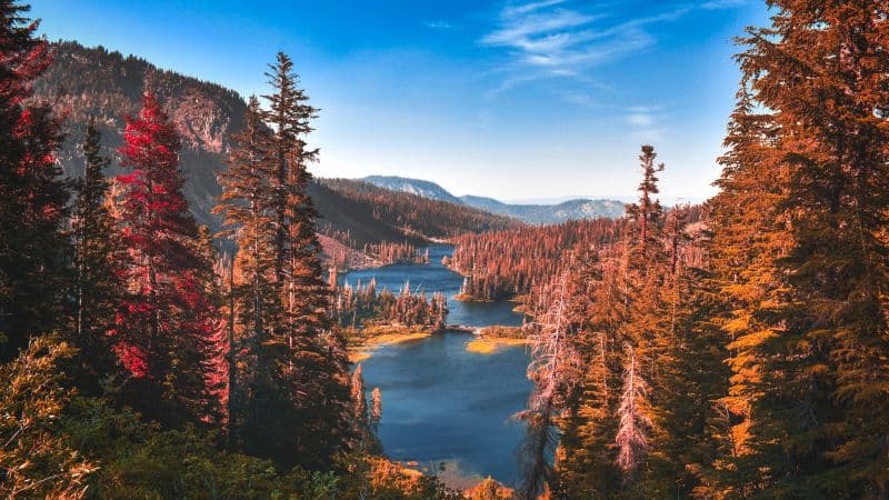 Yosemite National Park River Wallpaper
