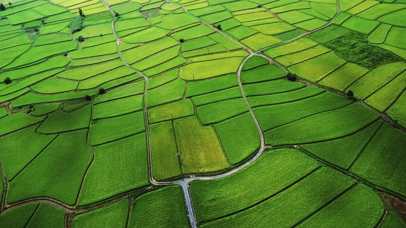 Agriculture Farm Land Wallpaper