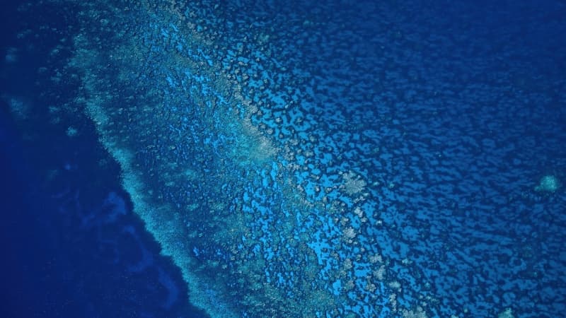 Seascape Aerial view Wallpaper