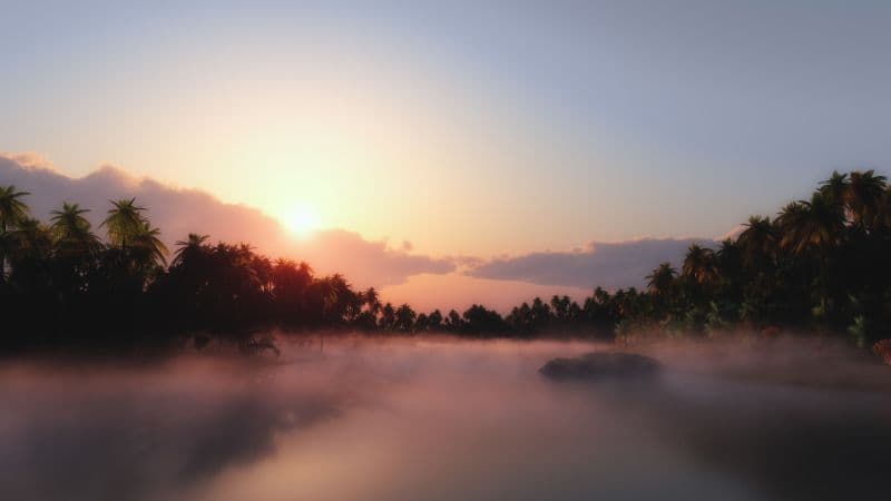 Sunrise Palm trees Wallpaper