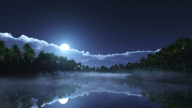 Moonlight Night time Wallpaper