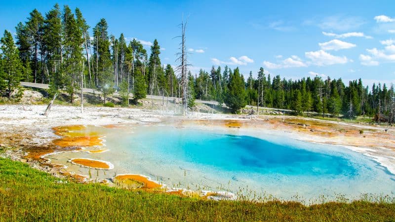 Mudpot Yellowstone National Park Wallpaper