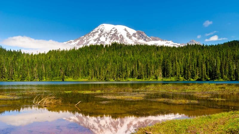 Mount Rainier Volcano Wallpaper