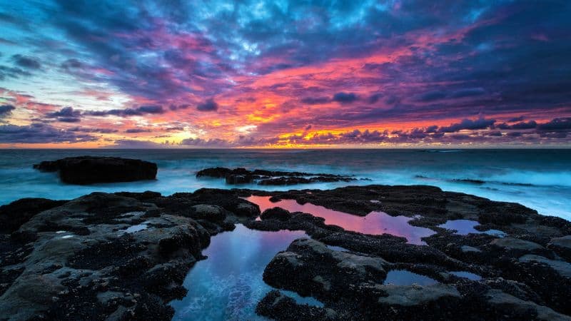 Rocky coast Cape Arago Wallpaper