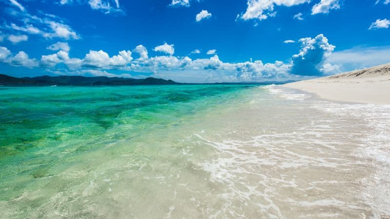 Sandy Cay Island British Virgin Islands Wallpaper