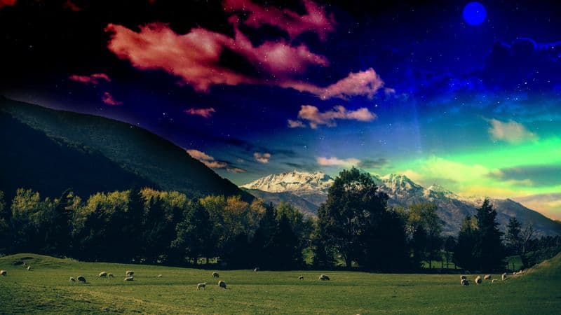 Green Meadow Grass field Wallpaper