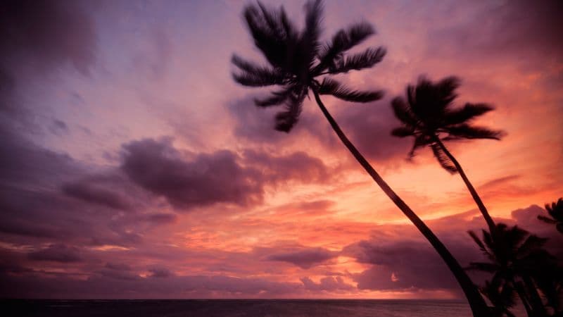 Punta Cana Dominican Republic Wallpaper