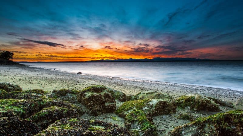Alki Beach West Seattle Wallpaper