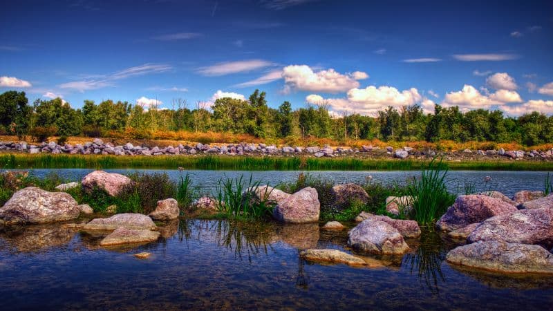 Gheraiesti Park Bacau city Wallpaper