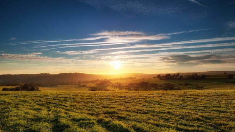 Green Meadow Landscape Wallpaper