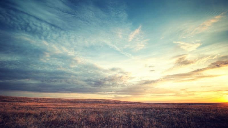 Meadow Landscape Wallpaper