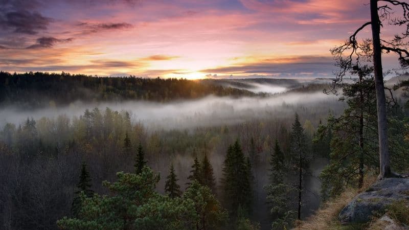Noux National Park Finland Wallpaper