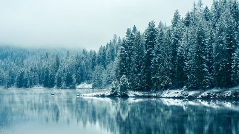 Kootenay River Snowfall Wallpaper