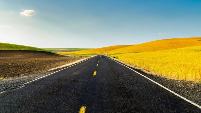 Meadow Countryside Wallpaper