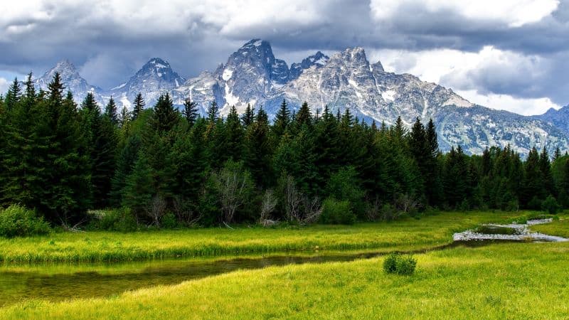 Grand Teton National Park Green Meadow Wallpaper