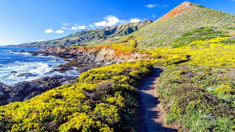 Big Sur Coastline Wallpaper