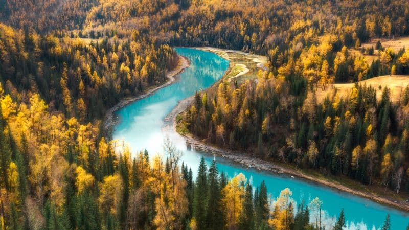 Kanas Lake Aerial view Wallpaper