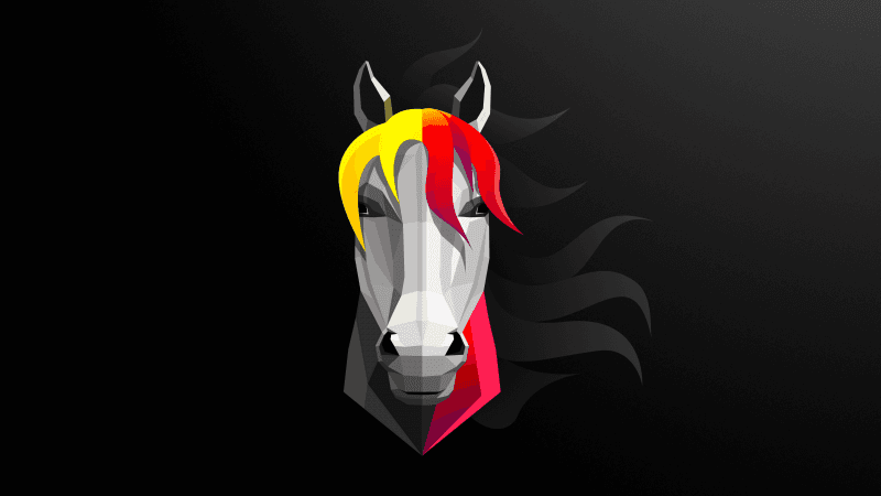 Horse Black background Wallpaper